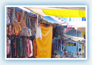 Arambol Travel