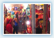 Canacona Travel