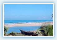 Arambol Beach Goa