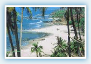 Vagator Beach Goa